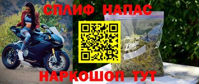 МДПВ Будённовск