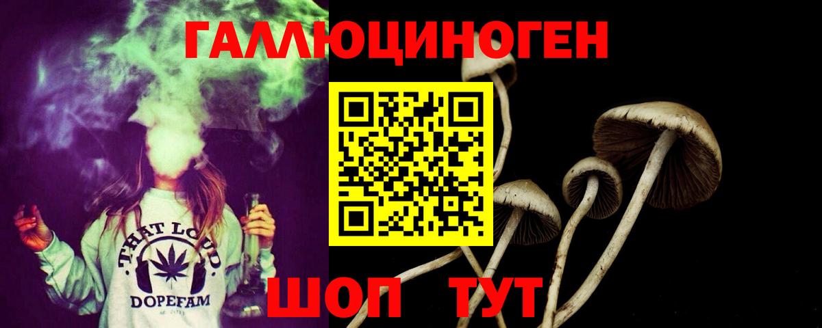 Псилоцибиновые грибы Psilocybine cubensis Стерлитамак