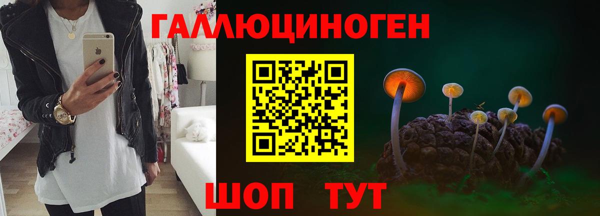 Стерлитамак  Псилоцибиновые грибы ЛСД  Вход с VPN 